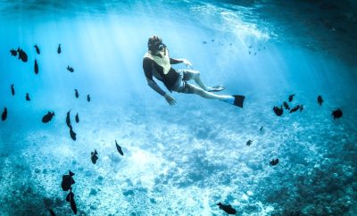 5 Best Locations For Diving And Snorkeling In Costa Blanca