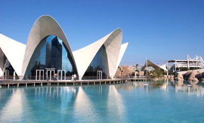 Oceanogràfic Valencia: Exploring Europe’s Largest Aquarium